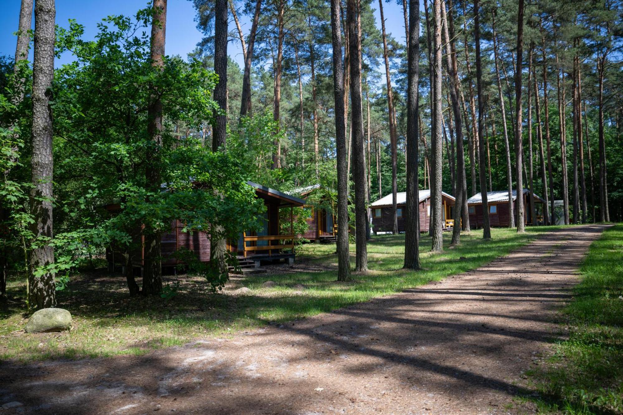 Villa "Lesne Ustronie" Byslaw Esterno foto