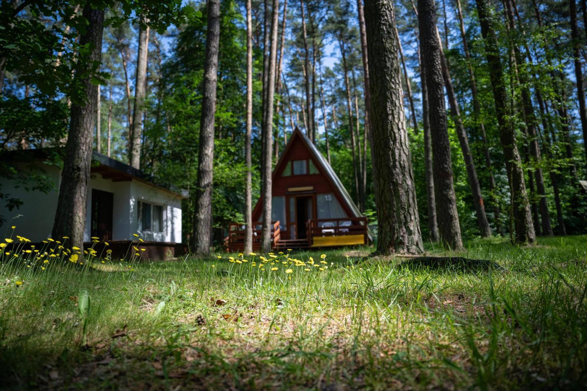 Villa "Lesne Ustronie" Byslaw Esterno foto